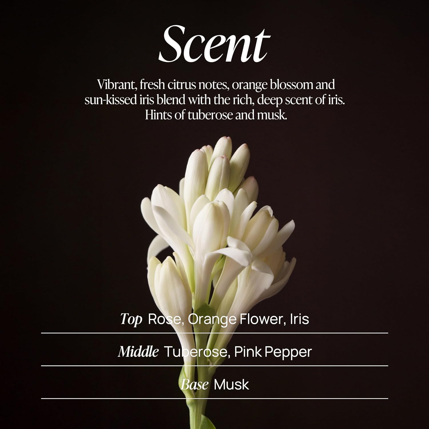 VOYAGER Love in Paris Body Lotion, 10.14 Fl. Oz./300ml