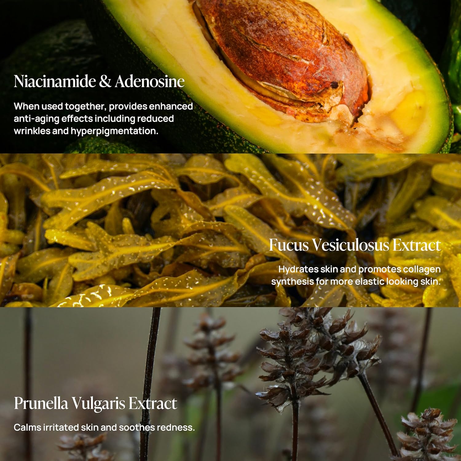 Moonlight Moisture Booster, 1.69 Fl. Oz/50ml