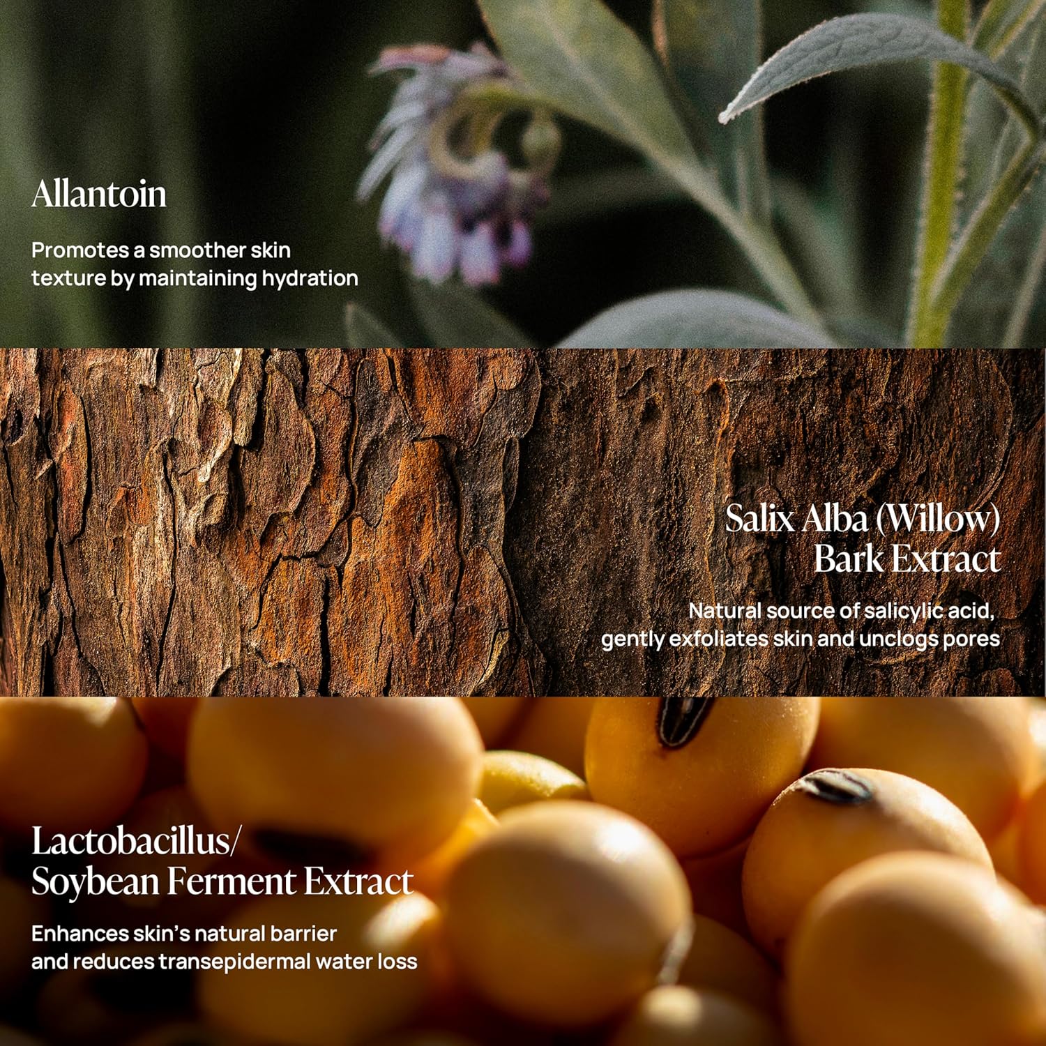 pH Balancing Foam Cleanser, 5.41 Fl. Oz/160ml